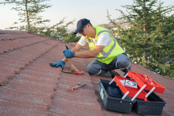 Best Storm Damage Roof Repair  in Celoron, NY